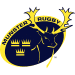 Corporate 38 Munster Rugby 75x75 2