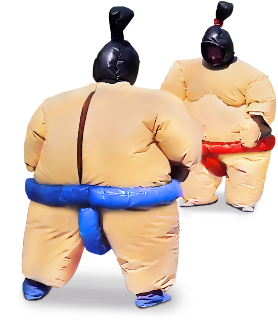 Home 13 Sumo Suit Wrestling Image